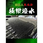 高雄門市 OLIMA 綠巨人 SQD 鍍膜維護劑 鍍膜保養劑 鍍膜 維護劑 封體劑 膜厚 QD 洗車 潑水 車 清潔劑：圖片 5